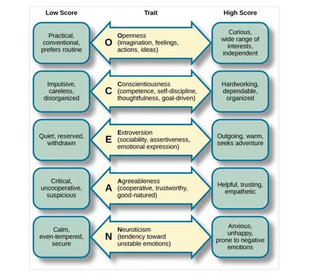 Diagram showing traits found in the personality trait acronym OCEAN, or openness, conscientiousness, extroversion, agreeableness and neuroticism