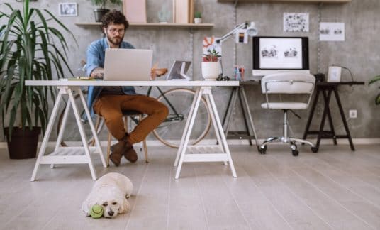 A man sits at a desk and works on a laptop in his home office while his dog rests on the floor nearby.