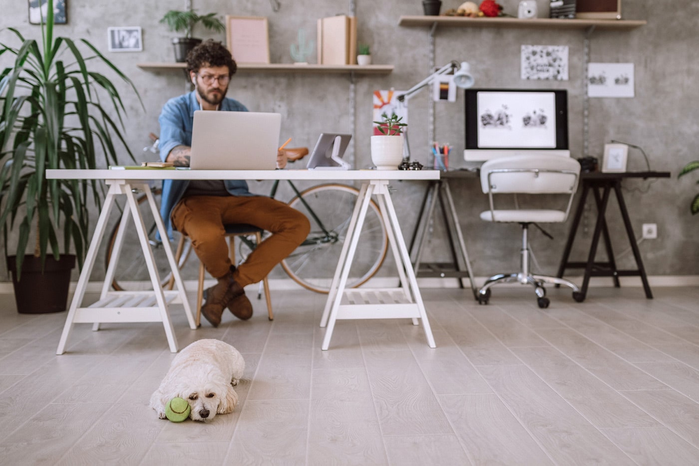 A man sits at a desk and works on a laptop in his home office while his dog rests on the floor nearby.