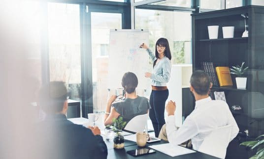 Business woman leads a meeting