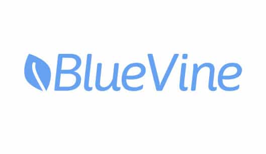 Bluevine logo