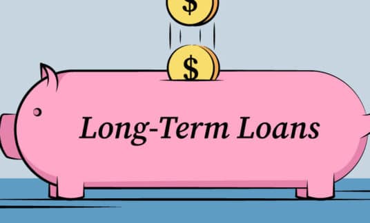 Graphic of a stretched-out piggy bank with coins being dropped into it and the words “long-term loans” along the side