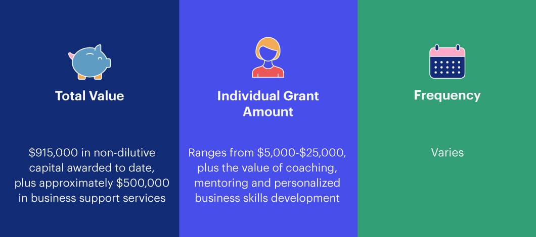 New Voices grant amounts and frequency issued.