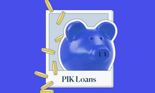 PIK Loans piggy bank graphic