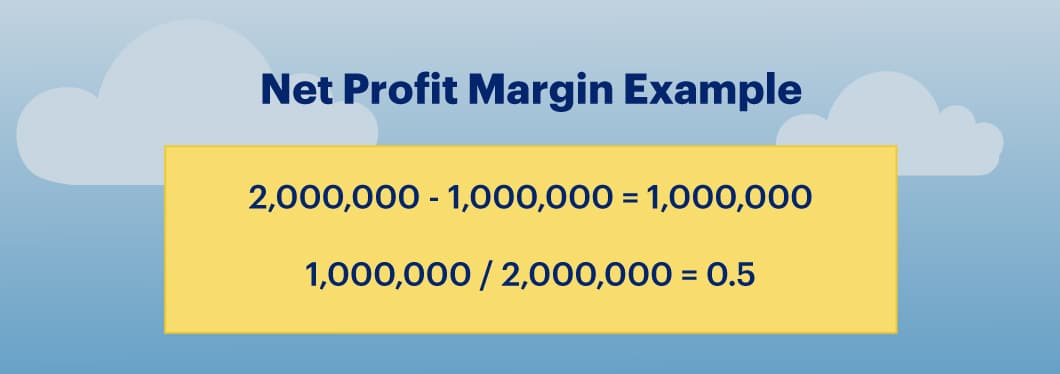 A net profit margin sample formula