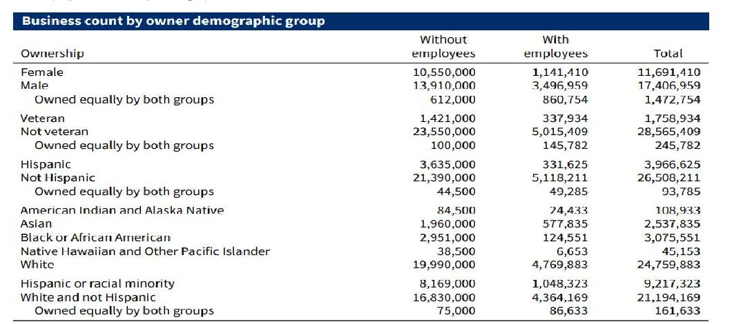 SBA profile showing business counts by owner demographic group
