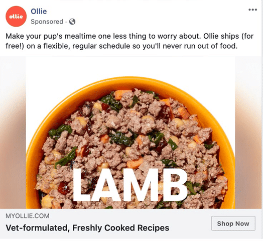 This Ollie dog food ad shows how businesses target user interests while using social media.