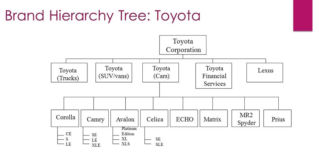 A Camry and a Prius are different vehicles aimed at different target markets, but they're both part of the overall Toyota brand.